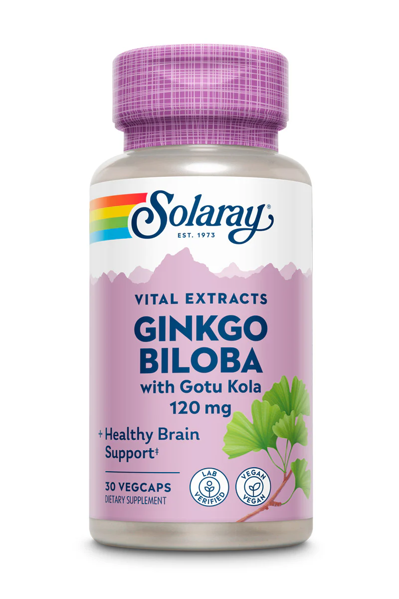 Ginkgo Biloba Extract, One Daily 120mg