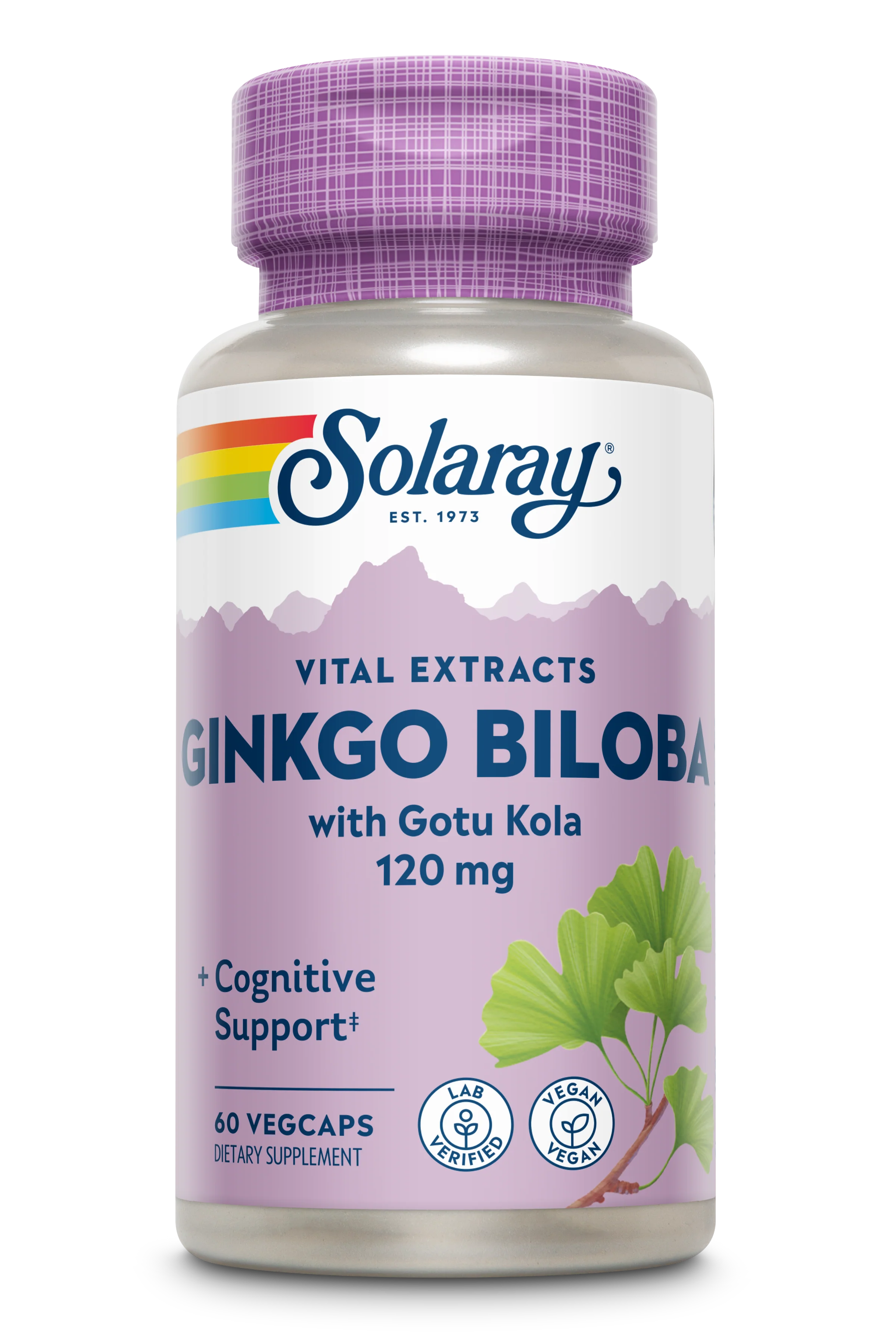 Ginkgo Biloba Extract, One Daily 120mg - Image 2