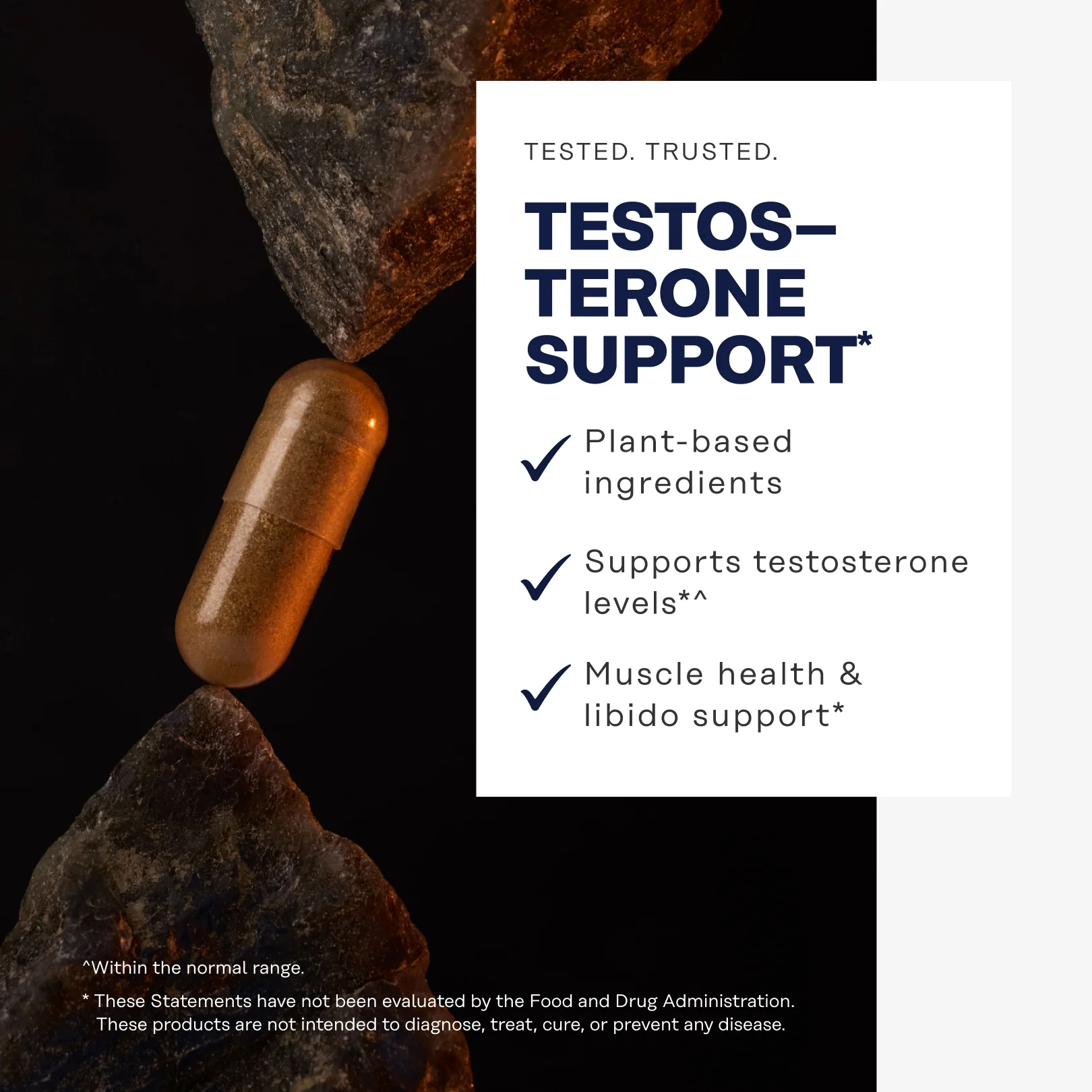 Men's Strength & Balance Bundle - Image 7